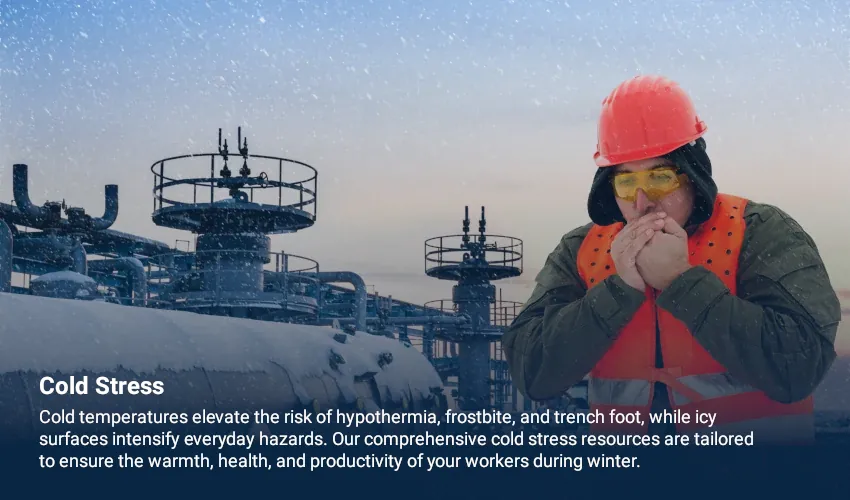Bundled Solutions Image